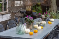 A covered dining area with autumn-flowering cyclamen and gourds on the table.