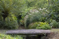 A bridge crosses a small stream, behind woodland garden with miscanthus, hostas, willows, ferns and hydrangeas.