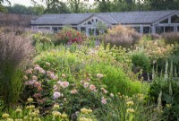 The rose garden at Wynyard Hall with Rosa 'Port Sunlight' - 'Auslofty' AGM in the foreground