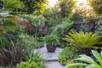 On a circular patio stands a pot of agapanthus. Behind stands a loquat tree and dwarf fan palm. Front right: Japanese sago palm, Cycas revoluta. Front left: Crocosmia 'Lucifer' and phormium.