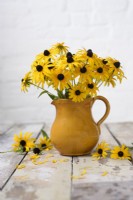 Bunch of Rudbeckias - 'Black eyed Susan' in pottery vase on rustic wooden background