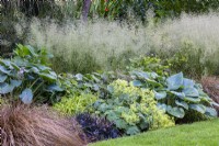 View of shady textural border planted with Deschampsia cespitosa and other grasses and perennials.  
