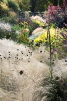 A pillowy mass of Stipa tenuissima dottted with seedheads of Dianthus carthusianorum in September.