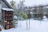 Snow covered garden with wooden storage shelves for antique terracotta flowerpots built onto outbuilding in a formal town garden. Rose arch, rambler roses and hedges and pleached trees. December