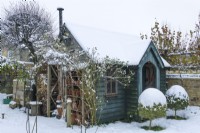 Dark green painted timber garden building in winter with pair of box topiary trees in front of entrance. Utility and storage area of garden with Log store and flowerpot stores built onto garden shed. December.
