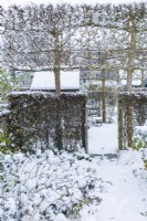 View through gate set into hawthorn - Crataegus monogyna - hedge at the end of a path with overhead pleached field maples - Acer campestre. Snow. Small secluded summerhouse behind hedge. December.