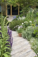 Winding curved clay brick paving path towards oak pavillion with flower borders planted with Iris 'Jane Philips', Salvia nemerosa 'Caradonna' and  Pinus mugo in The RNLI Garden - RHS Chelsea Flower Show 2022 