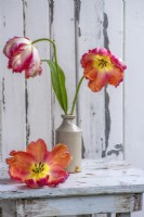 Cut stems of parrot tulips displayed in small pottery vase on wooden stool