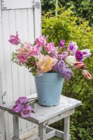 Mixed tulips displayed in blue enamel bucket with blossom and lilac on wooden stool
