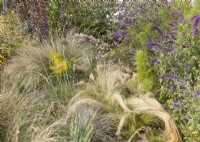Planting with perennials, shrubs and ornamental grasses, summer July
