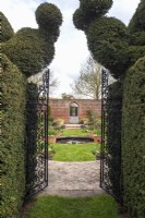 Black metal gate with Snail topiary - Taxus baccata - leading into formal walled garden with gothic door, round pool and containers of burgundy tulips.