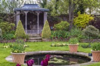 Ornamental summer house in formal walled garden with round pool in lawn lined with containers of burgundy Tulipa underplanted with yellow violas