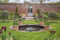 View into formal walled garden with gothic doorway with small circular pool lined with terracotta containers of burgundy Tulipa underplanted with yellow violas