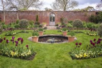 View into formal walled garden with gothic doorway with small circular pool, containers and beds of burgundy Tulipa underplanted with yellow violas. 