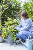 Woman checking on the ferns in the fernery