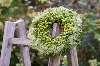 Hand tied wreath of green cranberries and clematis seedheads hanged on a wooden ladder