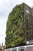 Vertical planting on Bressendon Place in the centre of London