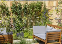 Wooden-frame sofa with cushions in front of a wall-trained fruit tree underplanted with herbs, summer June