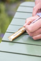 Woman writing plant names on the whittled faces of the birch sticks