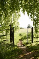 Gate in a country garden in May opening to an adjoining meadow