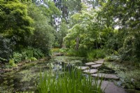 The pool in the Stroll Garden at Morton Hall Gardens with water lilies and stepping stones
