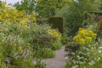 View of a gravel path between tiered double borders in an informal country cottage garden in Summer - May