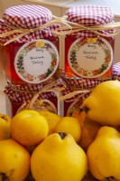 Quinces - Cydonia oblonga - with jars of home-made Quince jelly