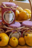 Quinces - Cydonia oblonga - with jars of home-made quince jelly