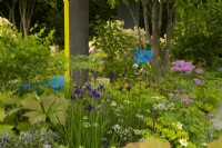 Herbaceous plants incuding Iris sibirica 'Perry's Blue', Thalictrum 'Black Stockings' and Amsonia 'Storm Clouds' in The National Brain Appeal's Rare Space Garden, a sanctuary garden designed Charlie Hawkes 