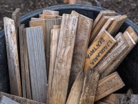  Wooden plant labels in bucket June Norfolk 