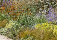 Perennial border with ornamental grasses and Rucbeckia sp of Rudbeckia, summer July