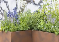 Rooftop garden with plant container, summer June