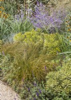 Perennial bed with ornamental grasses, summer August