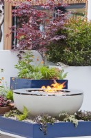 Terrace garden with japanese maple in large container and fire pit.