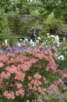 Milton Lodge Garden, Somerset, in June