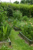 Raised beds with flowers to creat a cutting area - Open Gardens Day, Easton, Suffolk