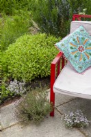 Red chair with decorative cushion on patio next to herb bed containing Rosemary, Variegated Golden Sage and Thyme - Open Gardens Day, Nacton, Suffolk