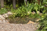 Small wildlife pond set into gravel with rocks around - Urban Oasis - BBC Gardeners' World Live 2023, Birmingham NEC - designer Vicky Lincoln
