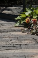 Path made from wood effect concrete paving with plants spilling over - She Grows Veg Ltd The Secret Homestead - BBC Gardeners' World Live 2023 - Designer Lucy Hutchings