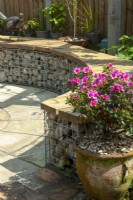 Curved seating around circular patio with Azalea in old urn  - Open Gardens Day, Nacton, Suffolk