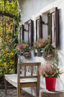 Caption: Erica - Heather in windowboxes under shuttered windows, near bench and table with Erica in a container.