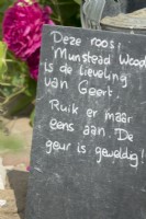 Blackboard hand written in dutch mentioning the favourite rose of the owner Munstead Wood rose. The smell is great!
