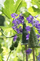 Delphinium purple and figs with green glazed ornaments on stick.