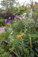 Small urban border with Lilium, Knipnofia, Roses and Peonies with metal bird sculptures 