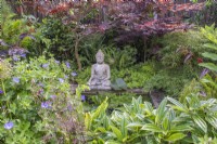 Small formal pool with waterlilies; stone Buddha  and bordered by Acers, evergreens and shade loving plants