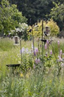 A selection of bird feeders in the middle of a mixed border in a country, cottage style garden with a mixture of trees and shrubs in the background. A greater spotted woodpecker feeds on one of the bird feeders. Summer. June. 