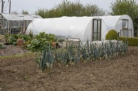 Polytunnels in the Allotment Garden at Barnsdale Gardens, April