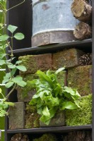 Detail of a wall with mossy bricks, ferns, logs and fircones designed to attract insects.