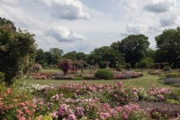 Dortmund North Rhine-Westphalia (Nordrhein-Westfalen NRW) Germany
Rosarium rose gardens at Westfalenpark in Dortmund