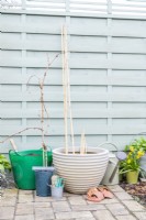 Vitis 'Lakemont' Grapevine, large container, bamboo canes, compost, watering can, crockery, string and scissors laid out on the ground